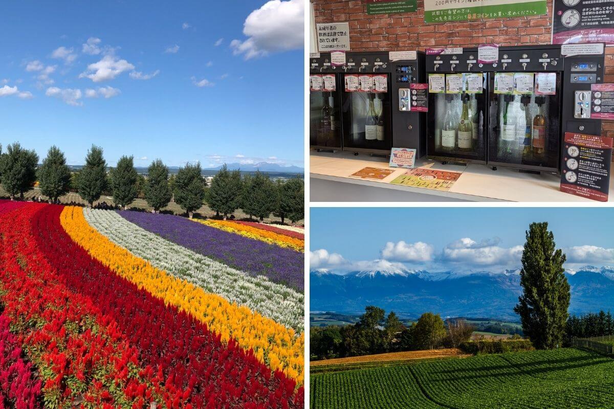 furano autumn