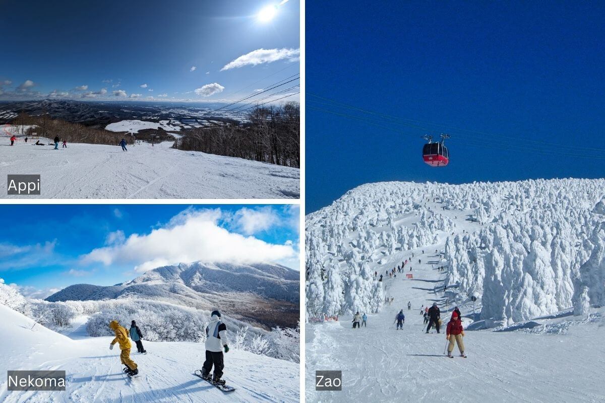 【日本滑雪完全指南】北海道・東北必去 14 大滑雪場|雪質一流・交通方便
