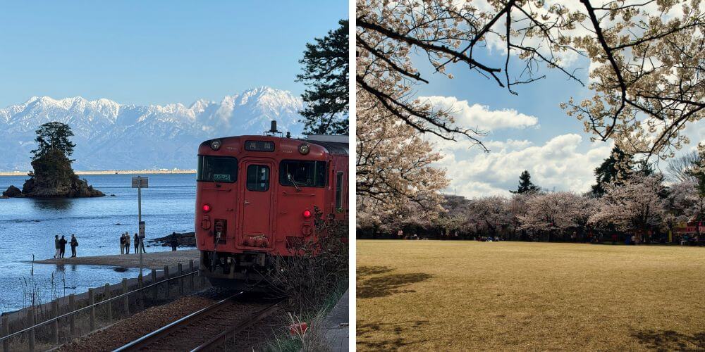 名古屋櫻花私人團 6天5 晚 | 中部最佳櫻花、白川鄉和高山春季之旅