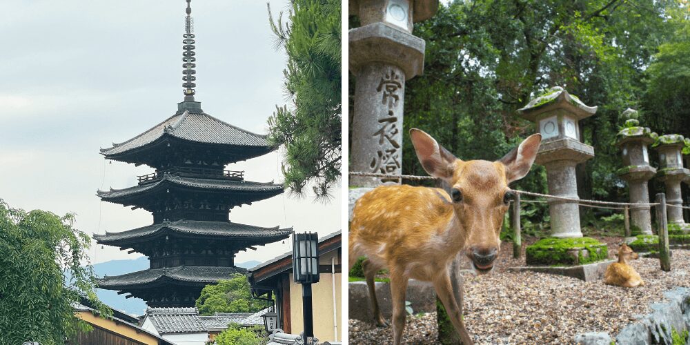 kyoto and nara