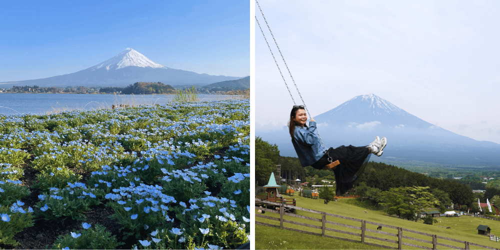 mount fuji