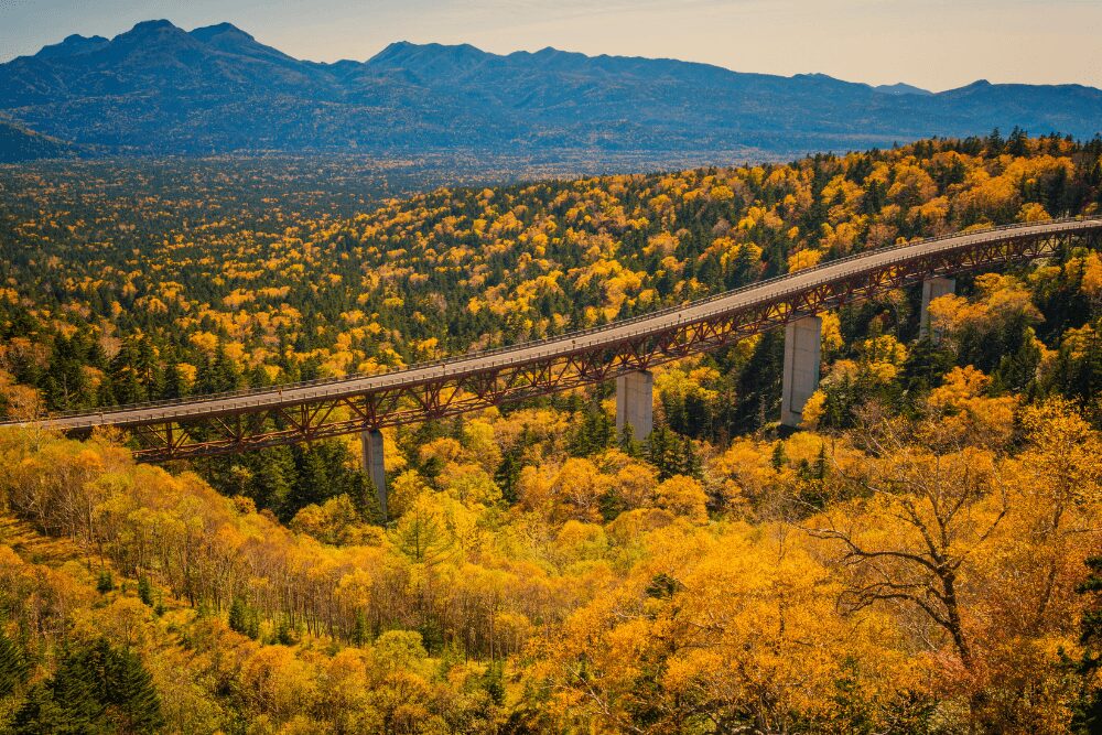mikuni pass