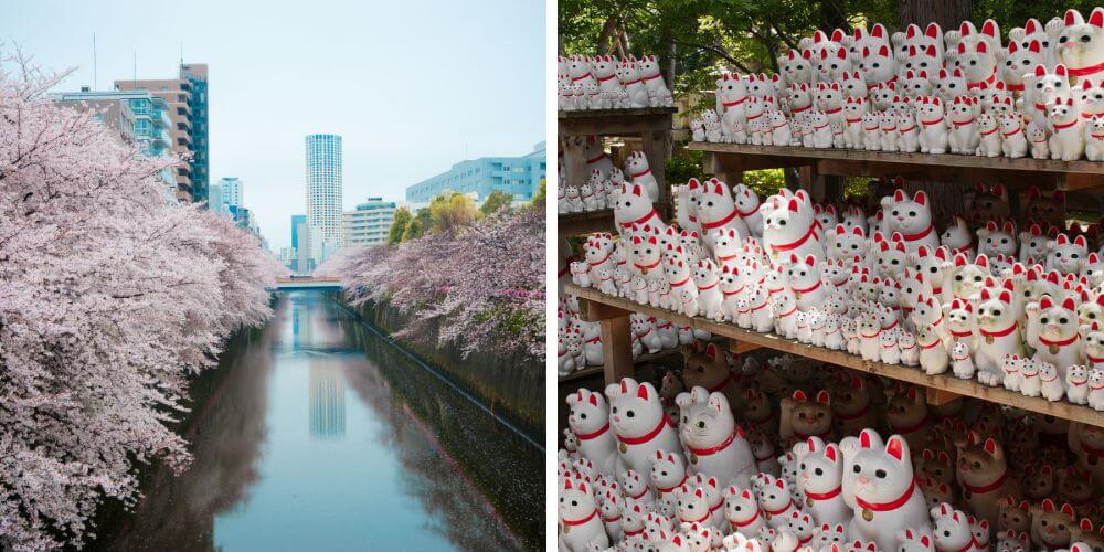 kanto spring tour