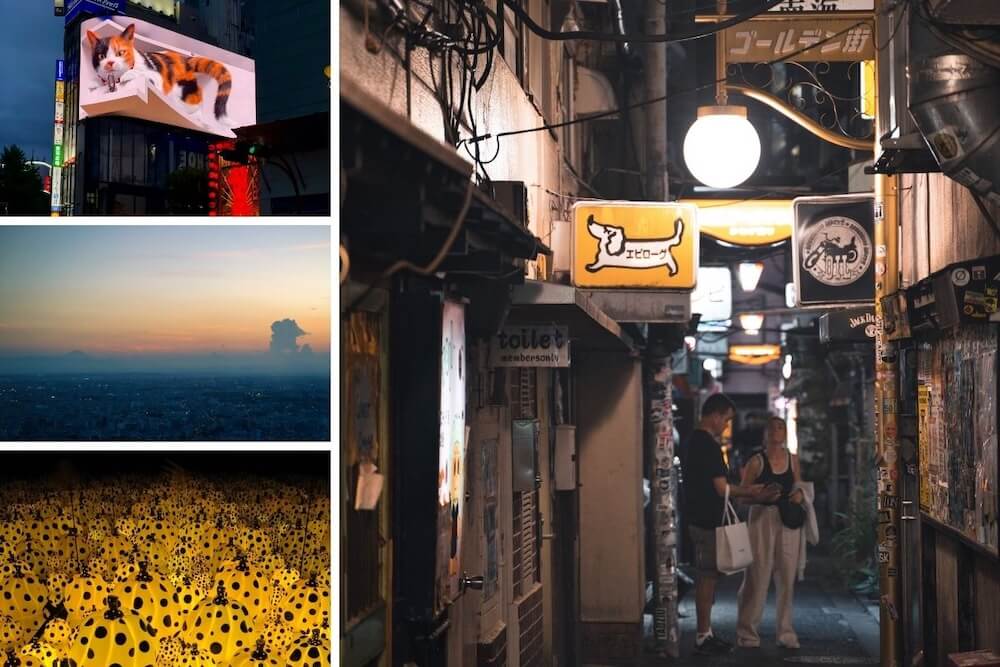 things to do in shinjuku