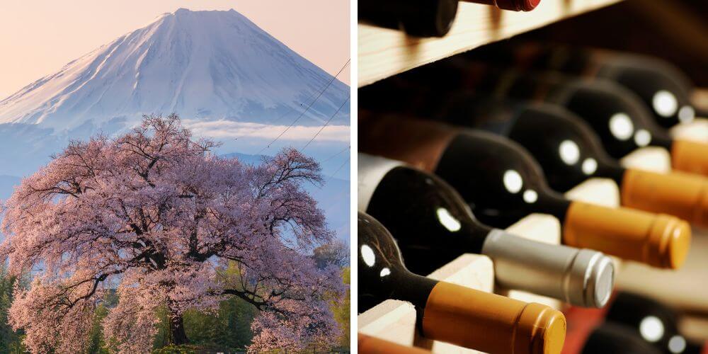 kanto spring tour