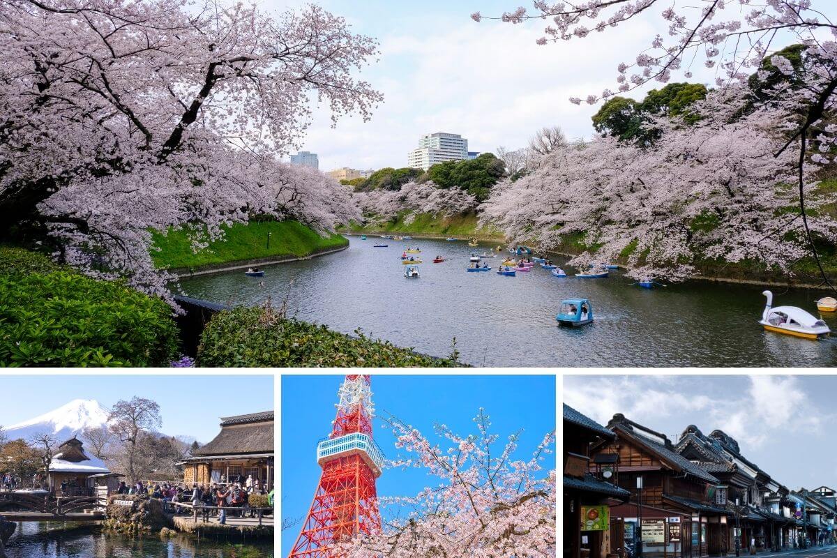 kanto spring tour