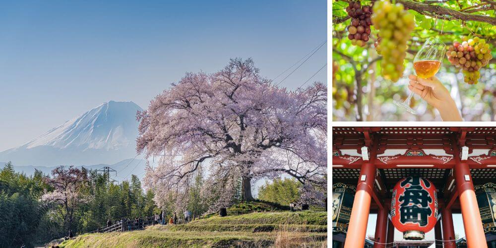 kanto spring tour