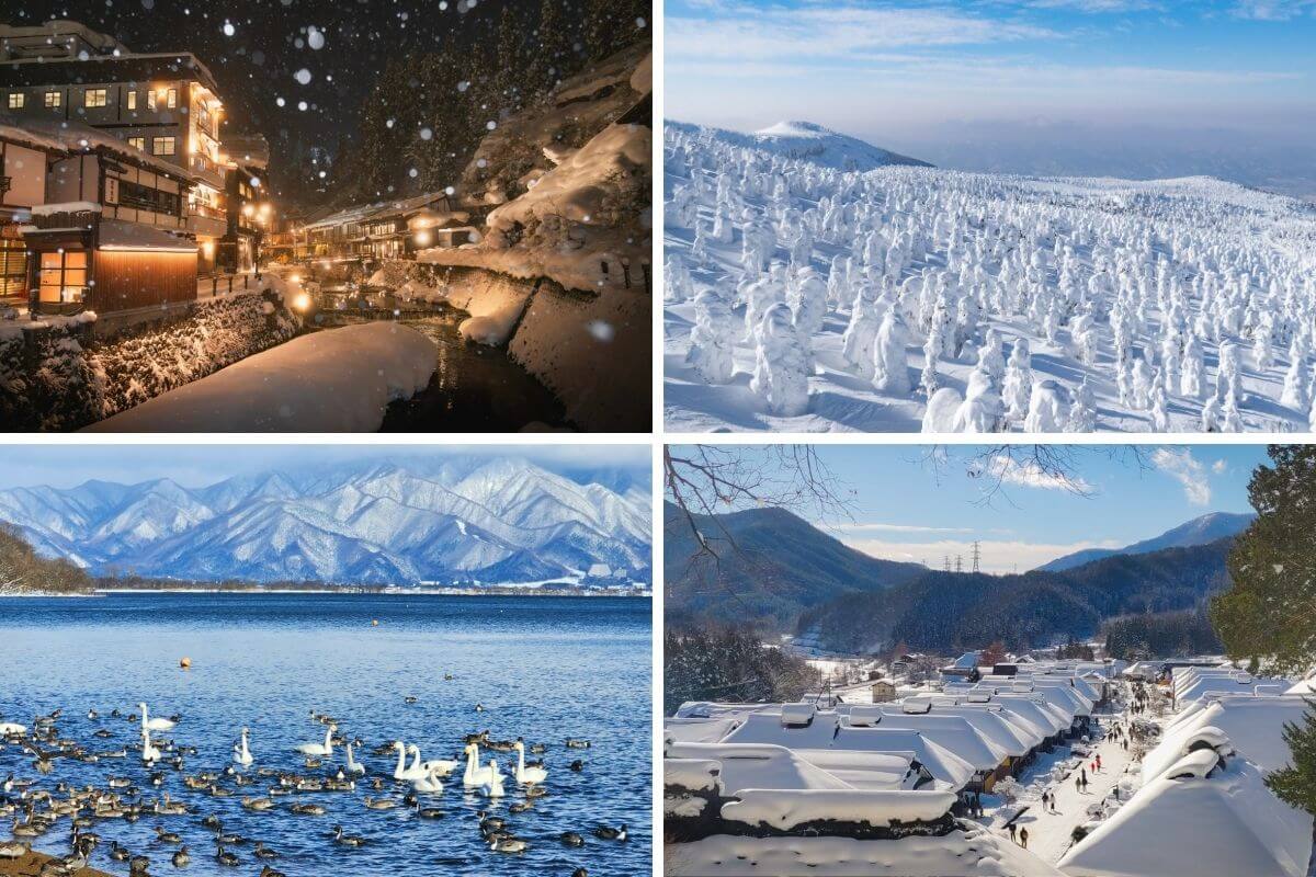 winter tohoku trip
