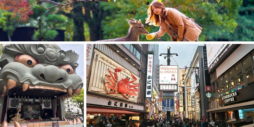 Kansai Sakura Tour 7 Days 6 Nights | Osaka, Kyoto & Nara Cherry Blossom Adventure