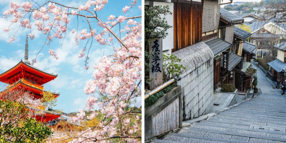 Kansai Sakura Tour 7 Days 6 Nights | Osaka, Kyoto & Nara Cherry Blossom Adventure
