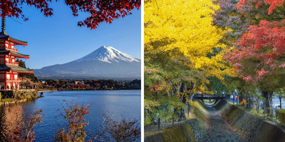 mount fuji