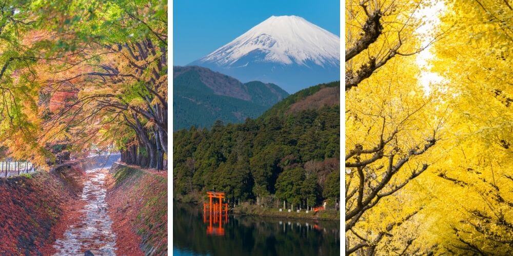 kanto autumn trip