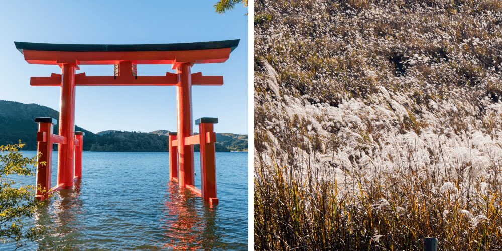 hakone