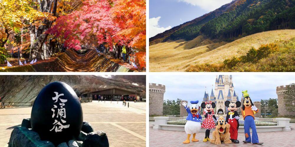 trip highlights