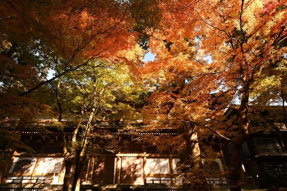 eiheiji temple fukui